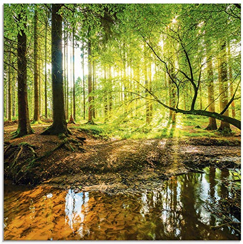 ARTland Wanddeko Glasbilder Wandbild Glas Bild einteilig Quadratisch Wald Natur Landschaft Bäume Bach Sonne Frühling T9IO