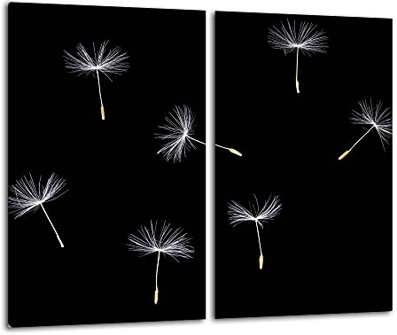 FTB Gsmarkt | Herdabdeckplatten Schneidebrett Spritzschutz Set 2x30x52 | Bild auf Glas | Sicherheitsglas Gehärtetes Glas Bild | Motiv Pusteblume