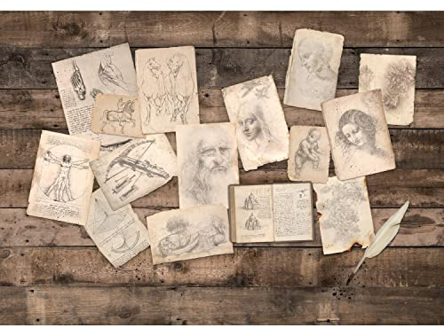 Runa Art Fototapete Collage Leonardo Da Vinci 352 x 250 cm Vlies Tapeten XXL Moderne Wandtapete Wohnzimmer Schlafzimmer Braun 9327011a