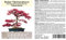 Seedeo® Roter Fächerahorn (Acer palmatum atropurpureum) Bonsai 20 Samen