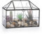 SUMTree Terrario de cristal negro para plantas con rejilla cuadrada, contenedor de musgo de jardín con tapa oscilante, caja de exhibición de plantas suculentas (rejilla cuadrada)