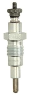 BorgWarner (BERU) GV197 Gl