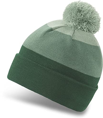 Dakine Mens Jackson Beanie Cap, Dark IVY/Basil/Trek Green, One Size