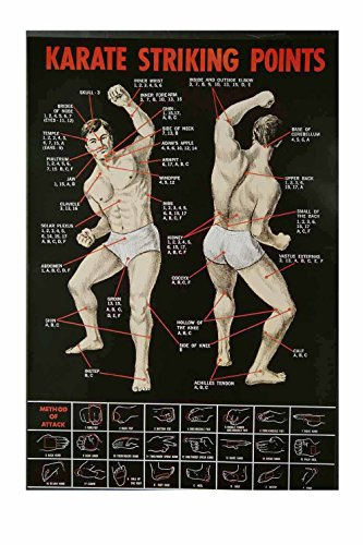 Ju-Sports Poster Karate - Striking Points