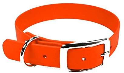 LENNIE BioThane Halsband, Dornschnalle, 19 mm breit, Größe 30-36 cm, Neon-Orange, Aufdruck möglich