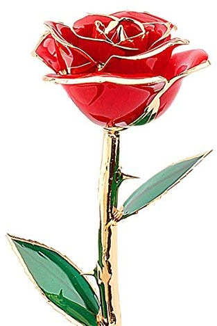 24k gold rose, echte gold rose, echte rote Rose Geschenke für Valentinstag Liebe für die Freundin von Geburtstag Weihnachten Jahrestag Tag der Dekoration des rot