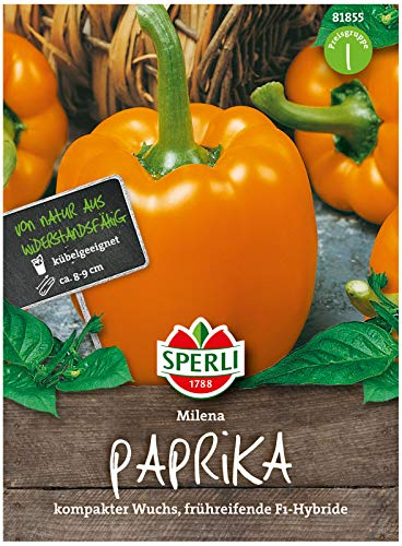 Sperli Blockpaprikasamen Milena, F1 81855 - frühreifende Sorte - kompakter Wuchs - Inhalt für 6 Pflanzen - Gemüsesamen, Samen Gemüse, Saatgut, Gemüsepflanzen