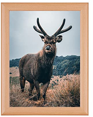 Rahmendesign24 Posterrahmen Fiona 40x50 Buche Fotorahmen, Wechselrahmen, Bilderrahmen