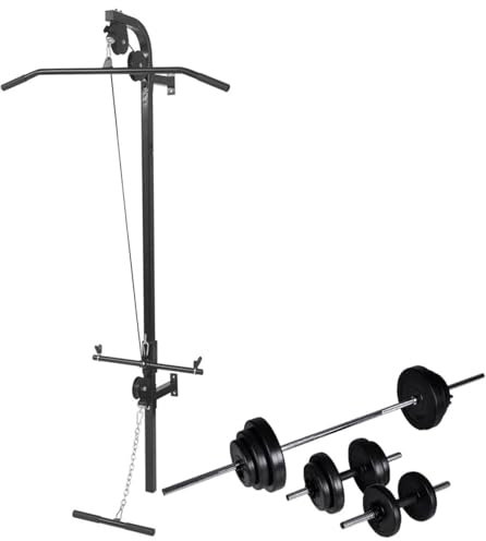 ShGaxin Klimmzugmaschine für die Wand, mit Gewichten und Hanteln, 30,5 kg, Muskeltrainingsbank, Hantelbank zu Hause, Fitnessstudio, Hantelbank