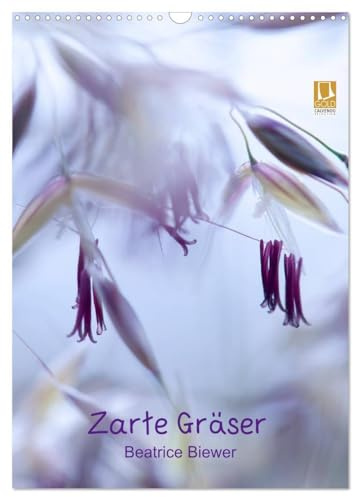 Zarte Gräser (Wandkalender 2026 DIN A3 hoch), CALVENDO Monatskalender: Sanfte Gräser, sanftes Leben (CALVENDO Natur)