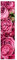 Bilderwelten Schiebegardinen Set - Pinke Pfingstrosen - Ohne Aufhängung 250 x 60cm Gardine