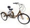 Fetcoi 24 Zoll 3 Rad Fahrrad, 6 Gänge Dreirad Mit Kreuzfahrt+Rückenlehne+Einkaufskorb, Rad Dreirad Für Erwachsene