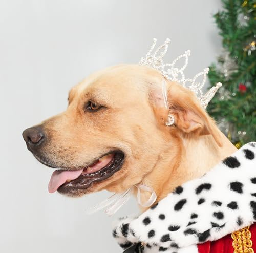 Lovelyshop Pet Series Hunde-/Katzenkrone für Royal-Family-Kostüm, versilbert, mit Strassperlen, Größe XL