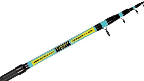 Angelrute Bolentino Colmic Target Boat 1,80 m - 50/250 g