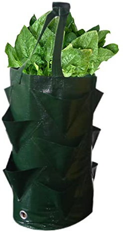 Hugsweet 2 Sac de Plantation pour Fraise - Sacs de Culture Fraises Suspendu avec Poignées | Sac de Fraisier en PE | Sac de Plantation de Jardin pour Fraises, Herbes, Tomates