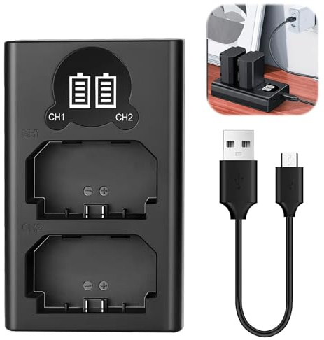 NP-FZ100 Batteries Chargeur pour Sony A6600,A6700,FX30,Alpha A7 III,A7R III (A7R3),A9,A7R IV,Alpha A9 II,Chargeur Micro USB et Type-C avec Double Emplacement et écran LCD