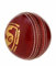 SG Cricket Shield 20 Premium Lederball (rote Farbe)