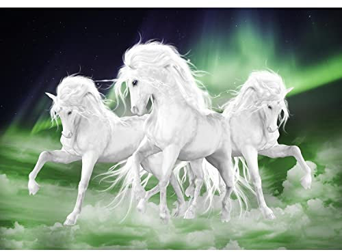 Runa Art Fototapete Einhorn Pferde Polarlicht 352 x 250 cm Vlies Tapeten XXL Moderne Wandtapete Wohnzimmer Schlafzimmer Grün Weiss 9450011a