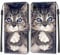 Feyten Coque iPhone XR, Etui iPhone XR (6,1 Pouces), Étui Housse en Cuir Coque Antichoc Flip Case Fonction Support Housse avec Fentes de Cartes Magnétique Portefeuille Protection Case (Chat 1)