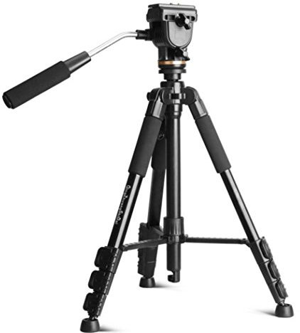 QZSD Q111S Trépied portable professionnel pour appareil photo numérique