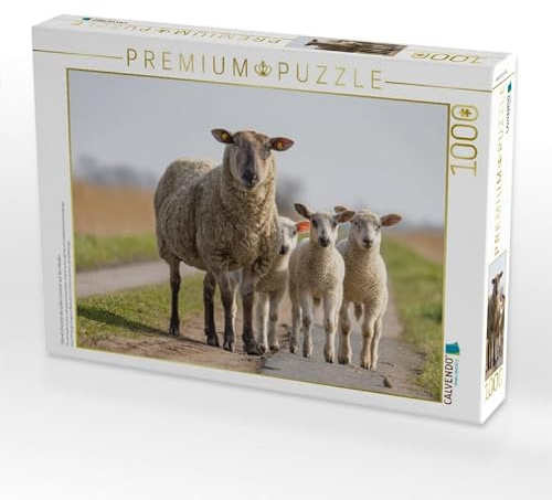 CALVENDO Puzzle Überall sind jetzt die süßen Lämmer auf den Weiden | 1000 Teile Lege-Größe 64 x 48 cm Foto-Puzzle für glückliche Stunden
