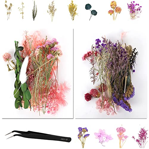Getrocknete Blumen Echt, natürliche Blumen zum basteln (Karte / Nägel / Malerei / Schmuck), DIY Blumen Deko für Schlafzimmer / Wohnzimmer / Balkon / Badezimmer (2 Packs)