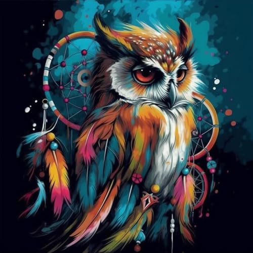 OfFsum 5D Diamond Painting Kits for Adults DIY Round Diamond Painting Kit Full Drill Owl Dream Catcher 11 Diamond Art Kits for Kids Art for Home Wall Decor