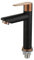 Robinet de lavabo en acier inoxydable pour salle de bain et cuisine Noir Or rose