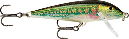 Rapala - Countdown Angelköder - Angelzubehör aus Balsaholz - Süßwasser Spinnköder - Hergestellt in Estland