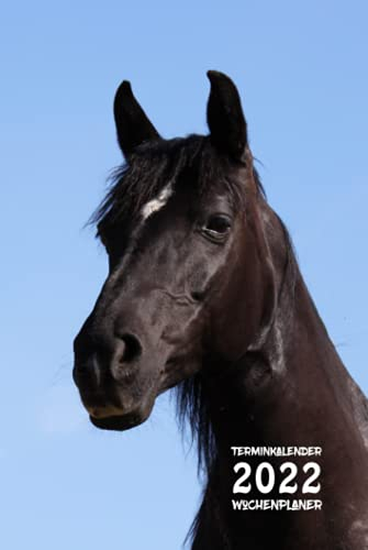 Terminkalender 2022 Wochenplaner Reiten mit Fotomotiv Pferd Rappe: Kalender, Terminplaner, Organizer, Schülerkalender, Tagebuch, Planer - Täglich, wöchentlich und monatlich