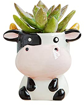 DIYOMR Niedlicher Keramik-Pflanzgefäß aus Keramik, kleiner Sukkulententententopf, Cartoon-Form, Blumentopf für Mini-Pflanzen, Blumenkaktus, glatte glänzende Keramik, Pflanzen nicht im Lieferumfang