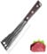 Doklasu Japanese Cooking Knife 8 inch Chef Knife Handmade Forged Thicken Professional Bone Cutting Knife Full Tang High Carbon Steel Kitchen Chopping Knives with Wooden Handle