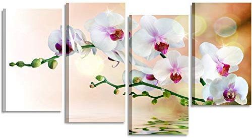 Quadri L&C ITALIA Orchidea Riflesso 3 - Quadro Moderno Fiori per Soggiorno Camera da Letto Bagno 152 x 78 Stampa su Tela Canvas Orchidee Bianche Multipannello Grande
