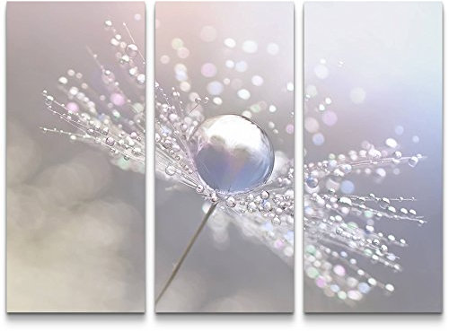 Paul Sinus Art Leinwandbilder | Bilder Leinwand 130x90cm Pusteblume mit Wassertropfen