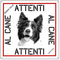 Lovelytiles Border Collie Targa Cartello PVC ATTENTI al Cane 16X16 QUANTITA 2 Pezzi