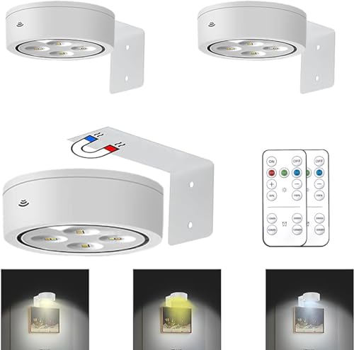 MIOBLUE 3 Pack Picture Light Battery Operated Painting Lights, Wireless Magnetic Display Art Light with Remote Controls, Dimmable Timer Portrait Light for Art Frame Artworking