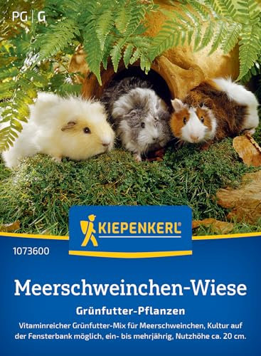 Kiepenkerl Meerschweinchen-Wiesensamen Grünfutter-Pflanzen 1073600 - Vitaminreich - Grünfutter Mix - 20cm - ein- bis mehrjährig - Saatgut, Pflanzensamen