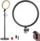 NEEWER BASICS 12 24W Large Ring Light with 68 Stand/Phone Holder/Remote for iPhone Video Recording Selfie Streaming Makeup Studio Photography, 3000K-6500K CRI98 Full Screen LED Panel Lighting, BR13