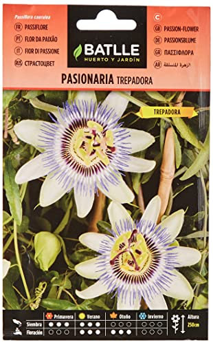 Semillas Batlle - Semillas De Pasionaria Trepadora