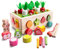 Montessori Spielzeug 2 in 1 Holzspielzeug Ab 3 Jahr Für Angelspiel Steckspiel Sortierspiel Karottenernte Formen Farbe Fruchterkennung Kinderspielzeug 3 4 5 Jahre Mädchen Junge Kleinkind Geschenk