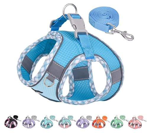 AIITLE No Pull Hundegeschirr und Leine Set, Schritt in einstellbaren Hundegeschirr mit gepolsterter Weste für alle Wetter, reflektierende Haustiergeschirr, einfach auf kleine Hunde setzen Blau S