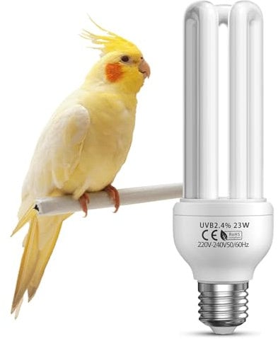BrightArk Vogellampe E27 UVB 2.4 für Vögel, Papageien, Reptilien