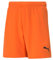 PUMA Unisex Baby Teamrise Jr Shorts, Goldfarben, Mohnblume, Pu, 176 EU