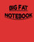 A BIG FAT NOTEBOOK: 500 PAGES OF LINED, COLLEGE-RULED NOTEBOOK FOR ANY CLASS OR PURPOSE; STANDARD SIZED PAPER