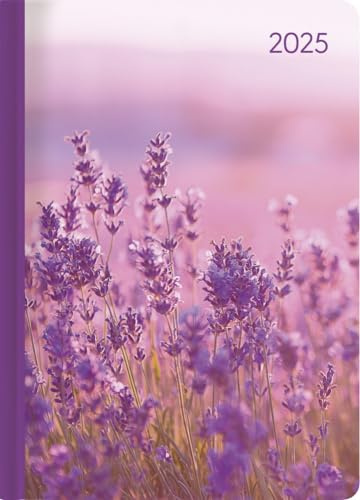 Alpha Edition - Ladytimer Lavender 2025 Taschenkalender, 10,7x15,2cm, Kalender mit 192 Seiten, Notizmöglichkeiten, Bucket List, Mondphasen und internationales Kalendarium