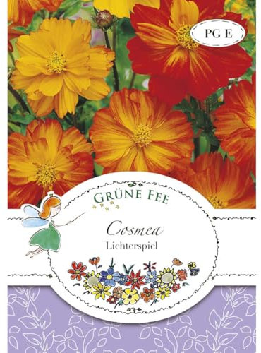 Grüne Fee - Cosmea Lichterspiel Samen - 13253