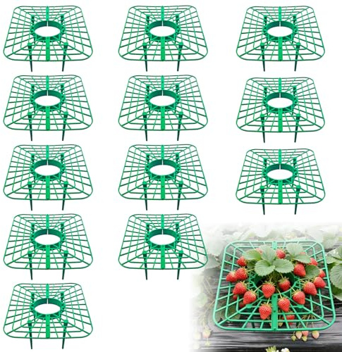 NICEWAT 12 Stück Quadratisch Erdbeerreifer, 25cm Erdbeerstützen Ständer, Schutz für Erdbeeren, Anbaugeräte Pflanze für Erdbeeren Pflanzen, Schneckenschutz und Schutz vor Fäulnis Schimmel