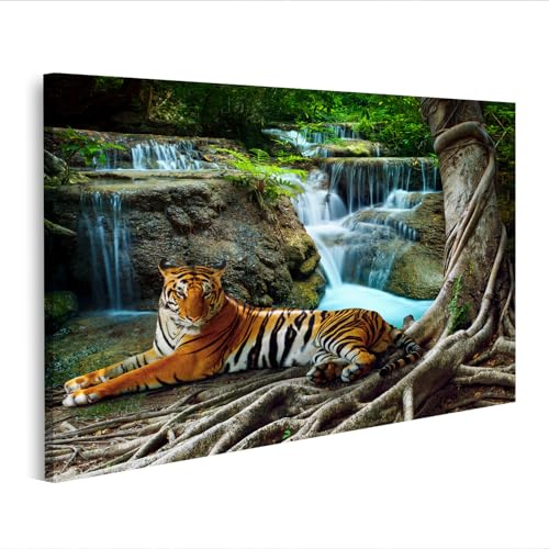 islandburner Bild auf Leinwand Indochina Tiger Raubkatze Panthera Tigris corbetti Wandbild Poster Kunstdruck Bilder