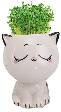 1pcs Pot De Fleur De Chat, Pots Succulents en Forme De Chat en Céramique Décors De Table De Jardinière De Chat, Pots Succulents d'animaux De Dessin Animé Mignon, Décor De Mini Pot De Fleur De Cactus