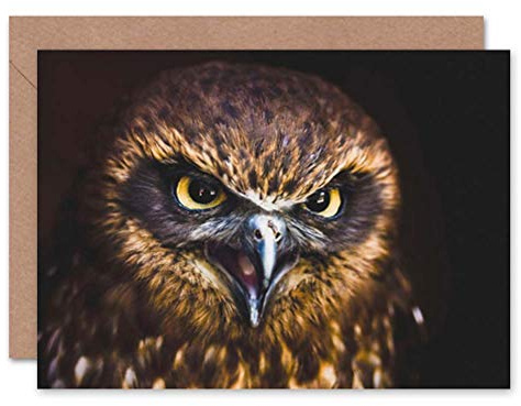 Wee Blue Coo CARD GREETING GIFT PHOTO CLOSE UP BIRD PREY HAWK EAGLE EYES BRIGHT